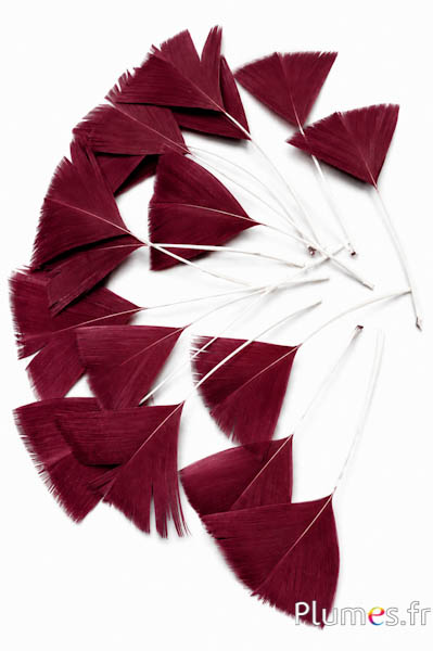 Pétales en plumes - 6-8 x 3-4 cm - bordeaux